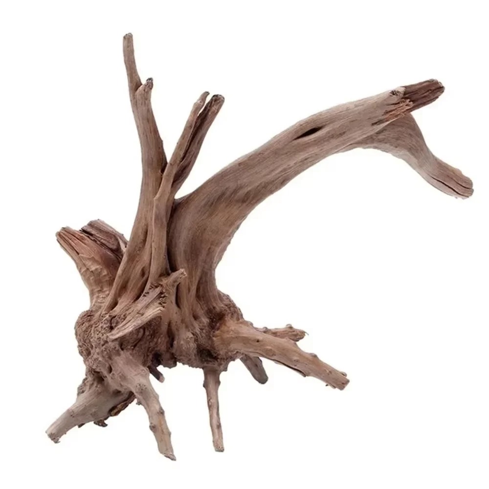Aquarium Moss - Natural Driftwood Aquarium Decor - Premium