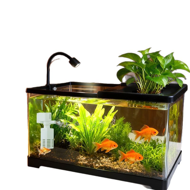 Aquarium Plants Live - Fish tank living room with aquarium