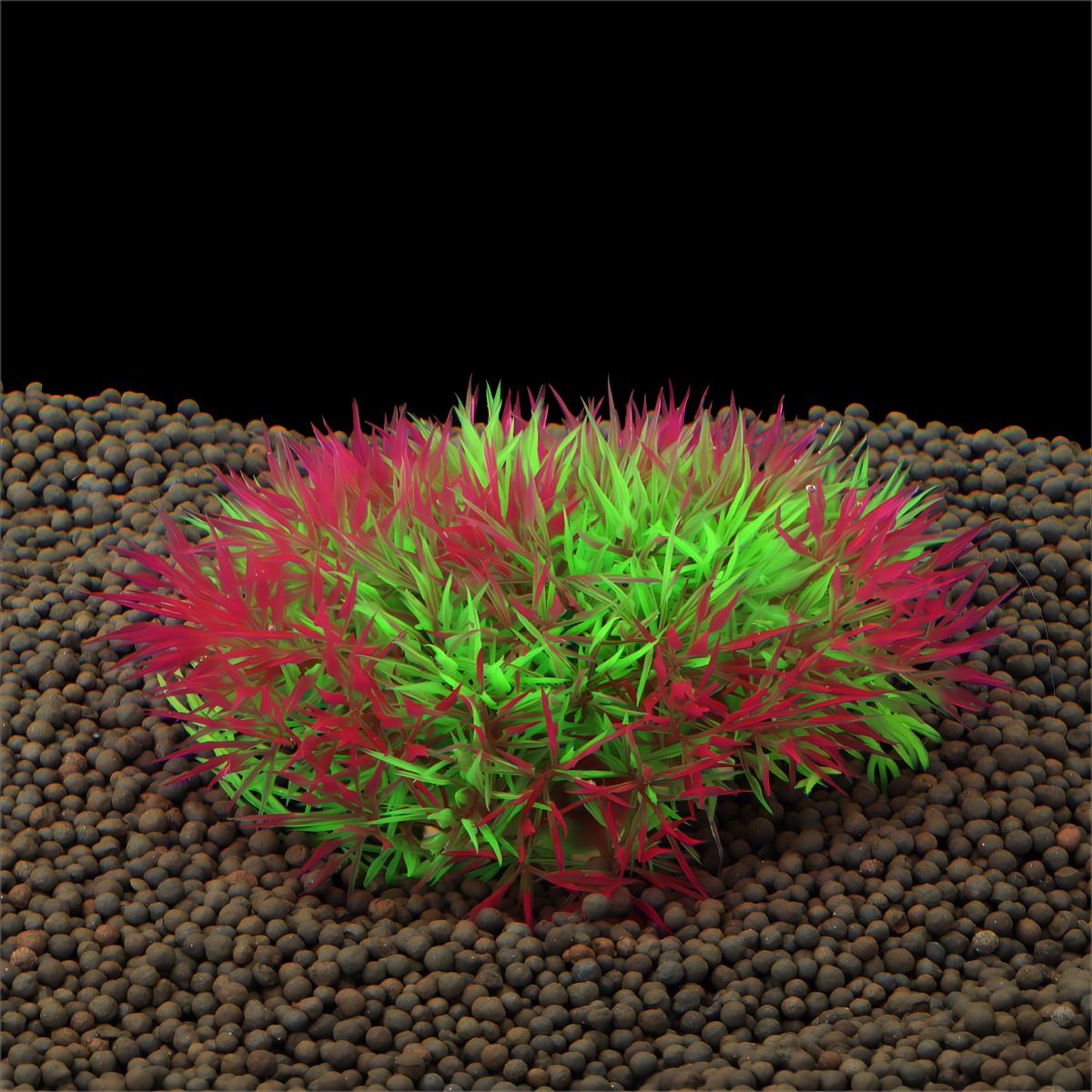 Artificial Water Grass Aquariu - Aquarium Plants Live 评论和价格