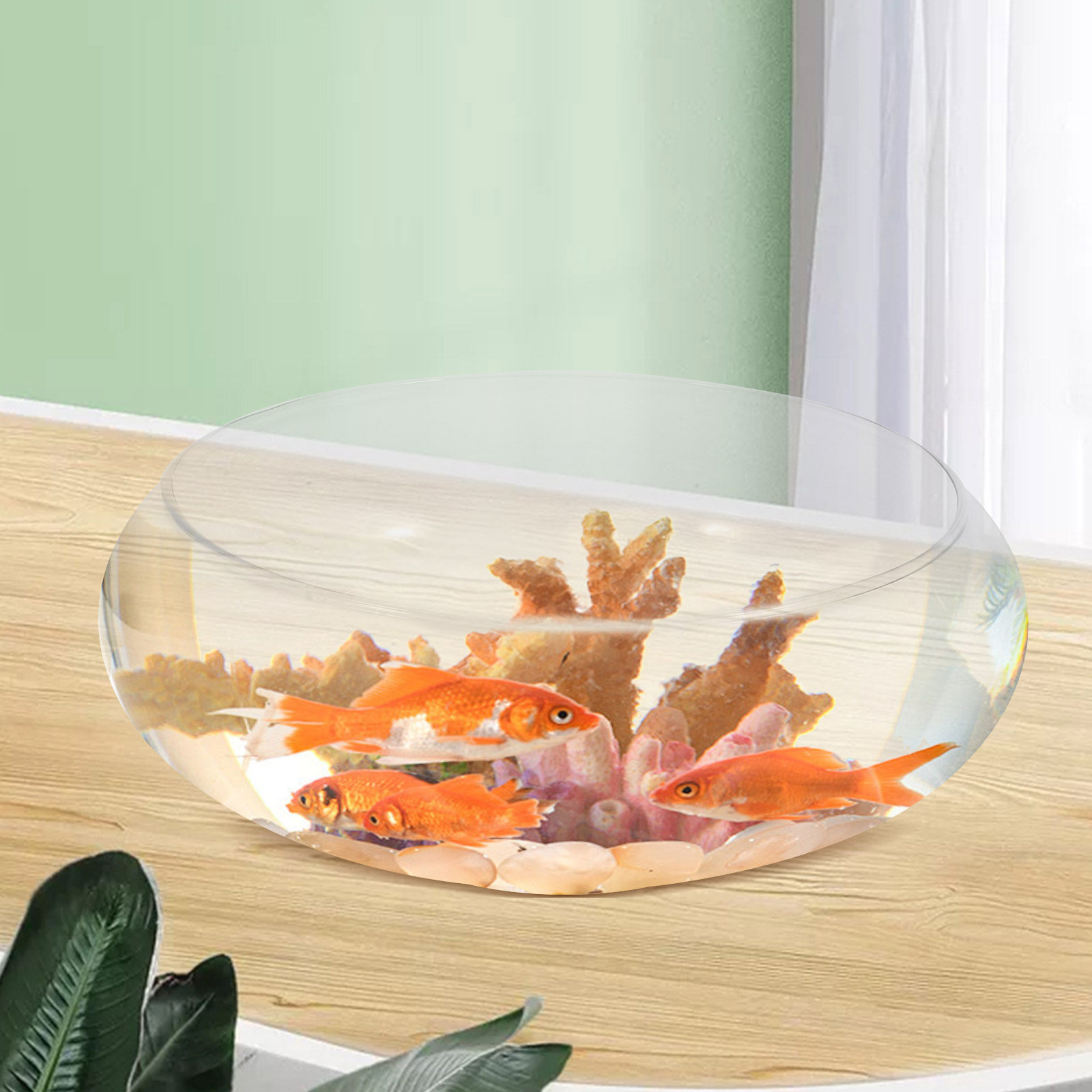 Glass Fish Bowl Small Fish Tan - Plant Aquarium Pot 评论和价格