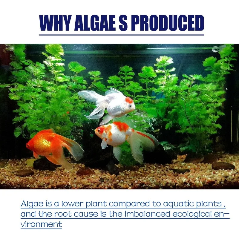 50g High Efficiency Algaecide  - Aquarium Fertilizer 评论和价格