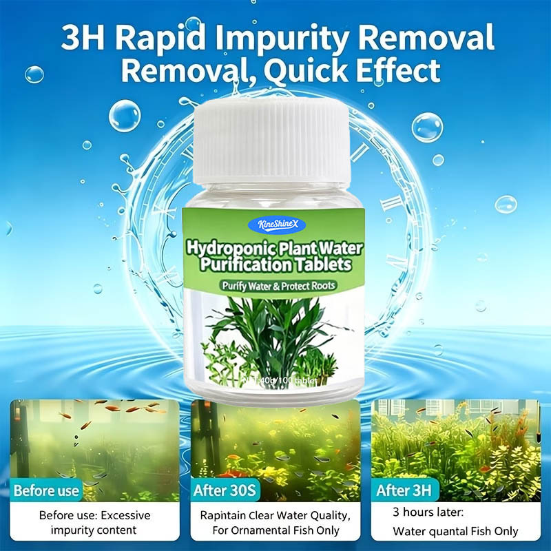 Hydroponic Water Purification  - Plant Aquarium Pot 评论和价格