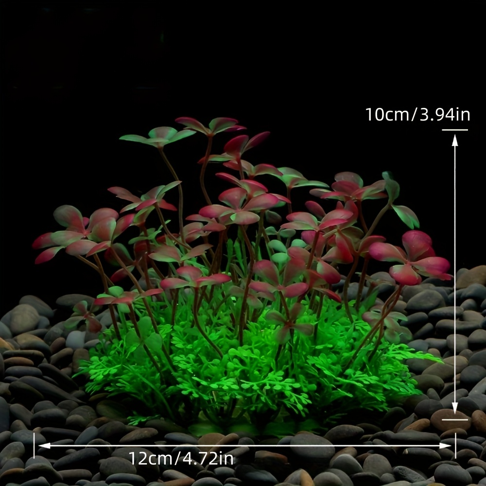 Aquarium Fish Tank Decoration  - Aquarium Plants Live 评论和价格
