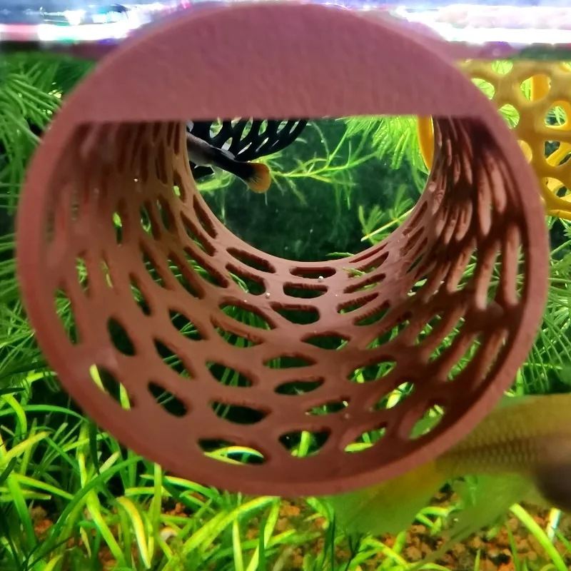 Floating Betta Hammock Tunnel, - Aquarium Plants Live 评论和价格