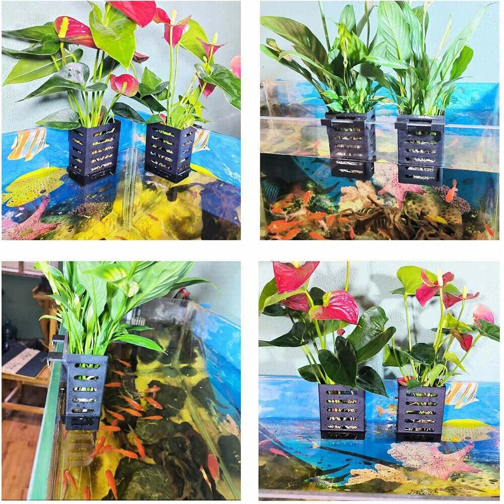 Aquarium Fish Tank Plant Holde - Aquarium Plant Holder 评论和价格