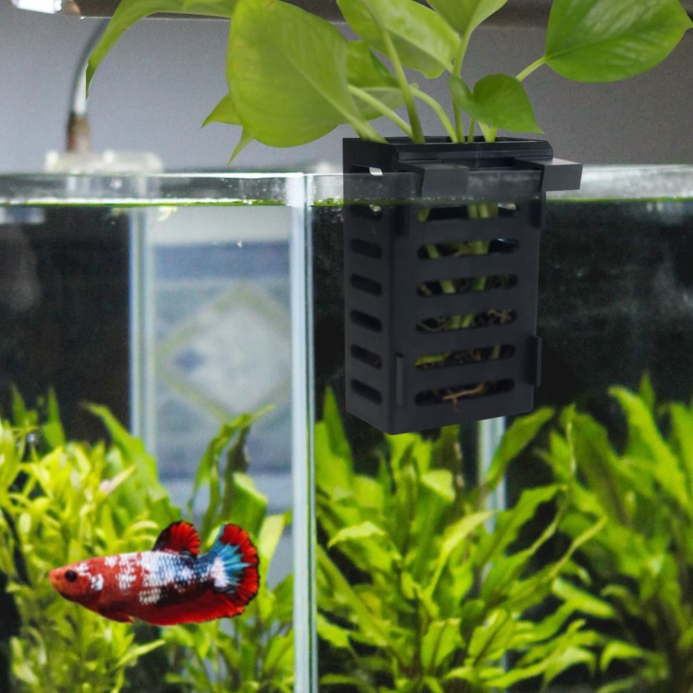 Aquarium Fish Tank Plant Holde - Aquarium Plant Holder 评论和价格