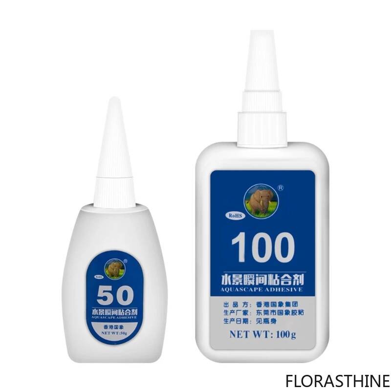 2PCS 5PCS /3/ Moss Clear Glues - Aquarium Moss 评论和价格
