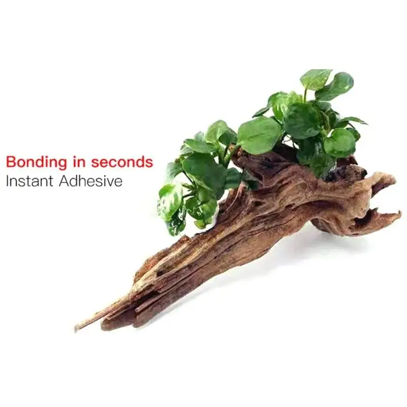 2PCS 5PCS /3/ Moss Clear Glues - Aquarium Moss 评论和价格
