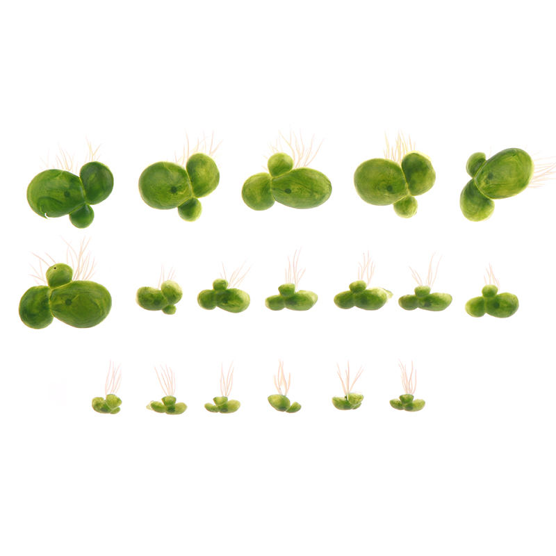 18pcs/set Aquarium Fish Tank D - Aquarium Plants Live 评论和价格