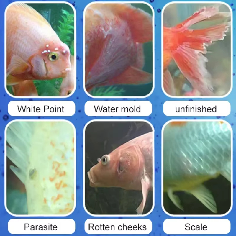 SIKEZHAN Fish Disease Treatmen - Aquarium Fertilizer 评论和价格