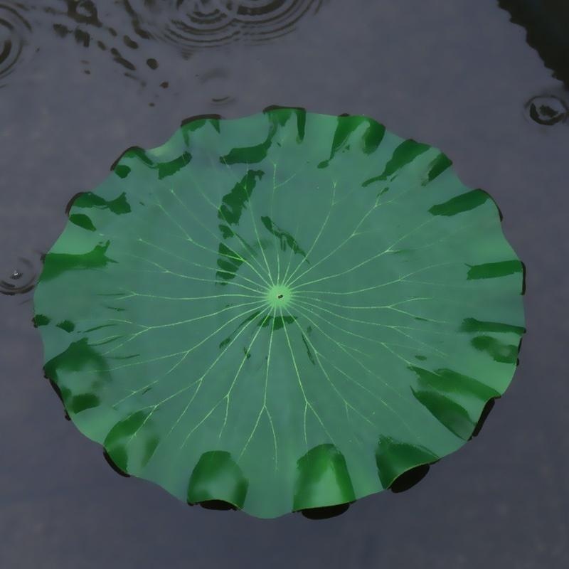 2026 Artificial Water Lily Lot - Aquarium Moss 评论和价格