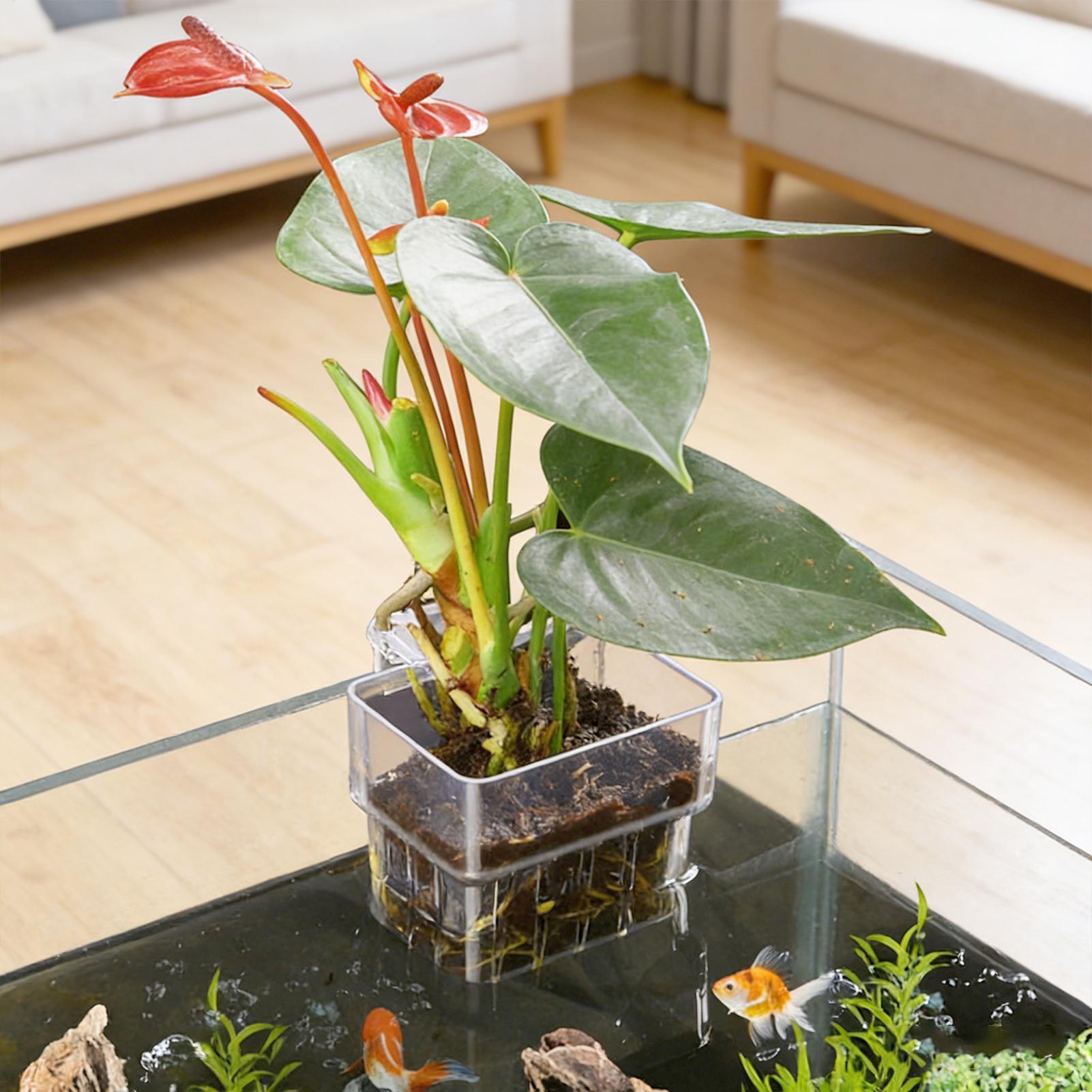Aquarium Plant Basket Transpar - Aquarium Plant Holder 评论和价格