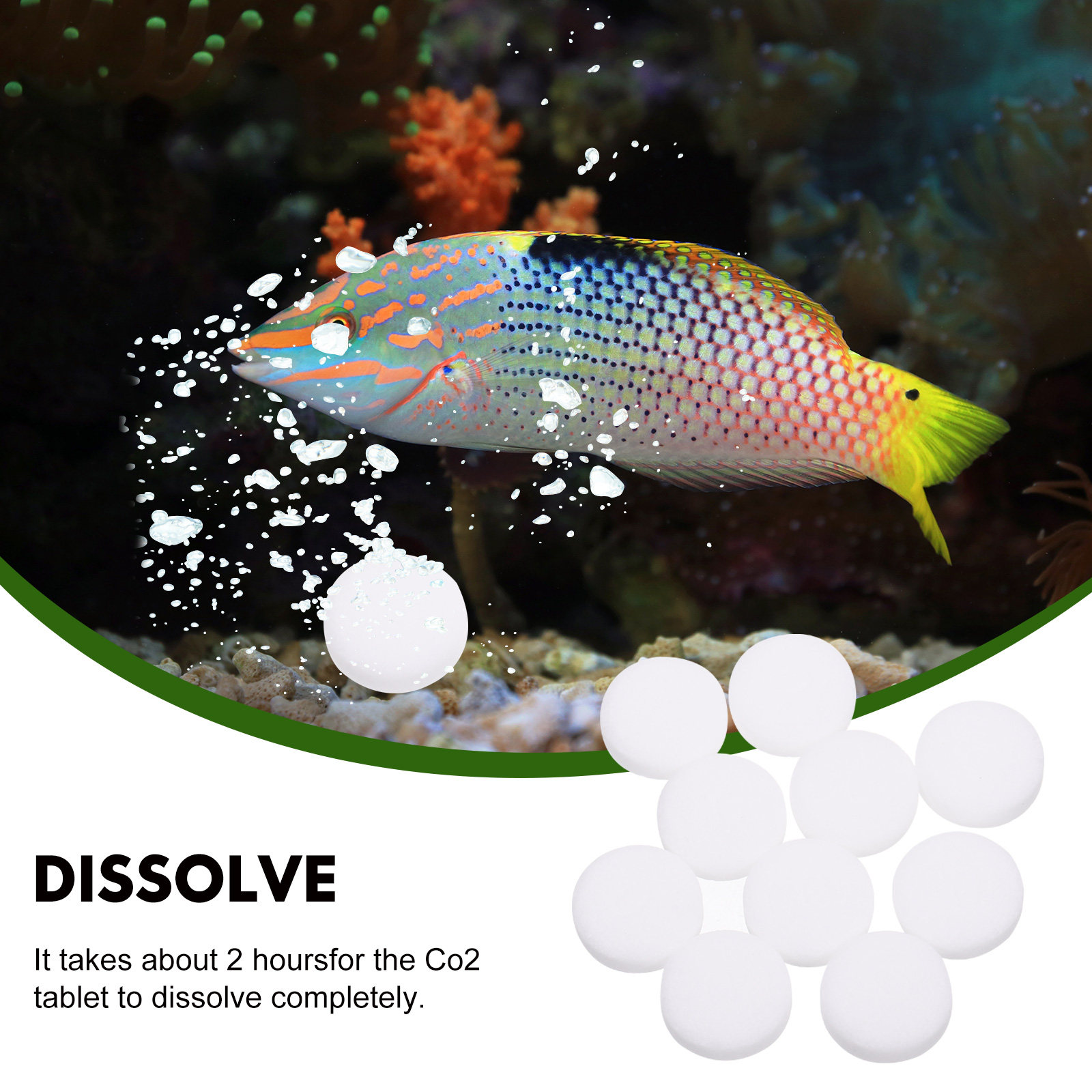 2Bags Convenient Aquarium Plan - Aquarium Fertilizer 评论和价格