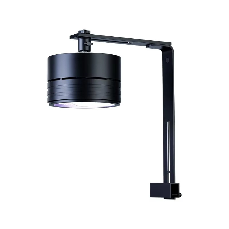 2026 Full Spectrum LED Aquariu - Aquarium Moss 评论和价格