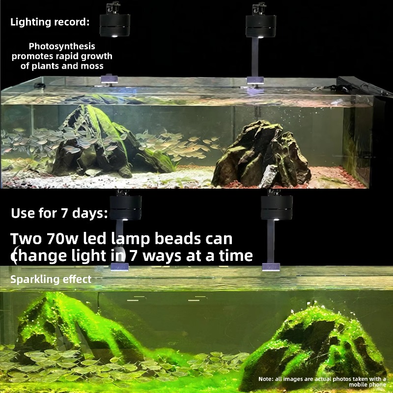 2026 Full Spectrum LED Aquariu - Aquarium Moss 评论和价格