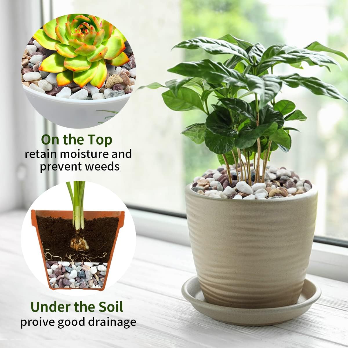 Mixed Color Gravel Stones Deco - Plant Aquarium Pot 评论和价格