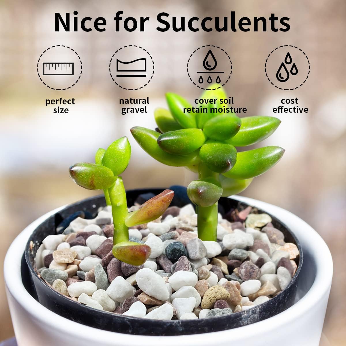 Mixed Color Gravel Stones Deco - Plant Aquarium Pot 评论和价格
