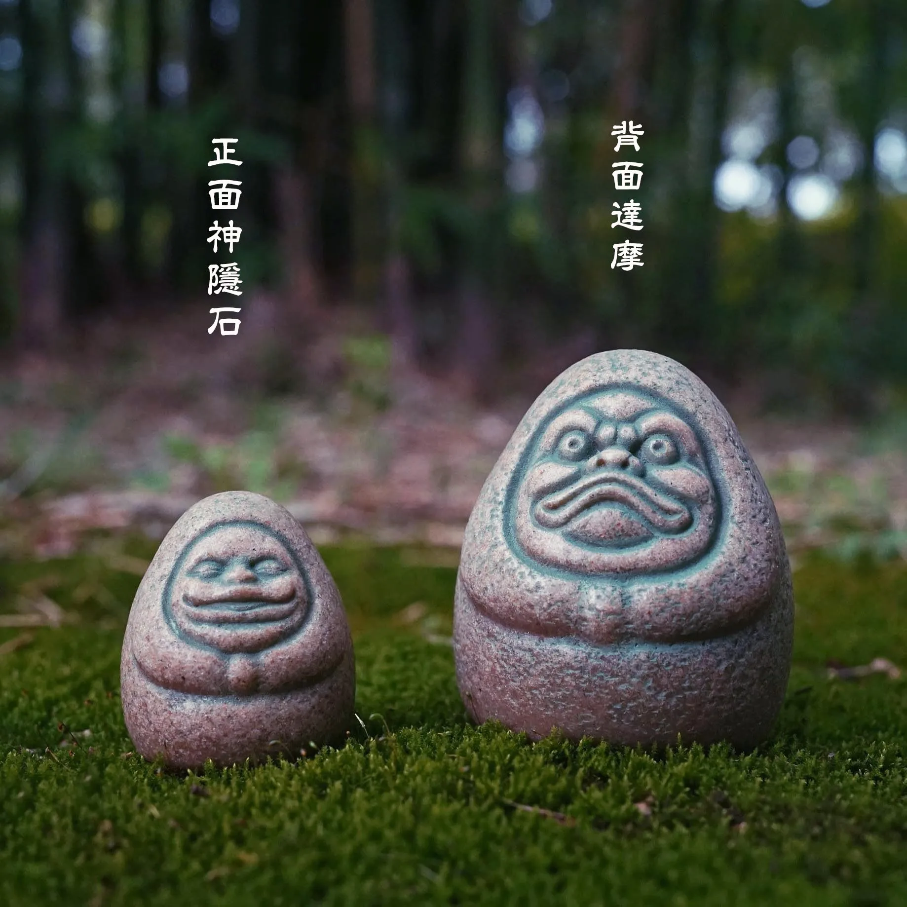 Kaminishi Hide Dharma Anime Sc - Aquarium Moss 评论和价格