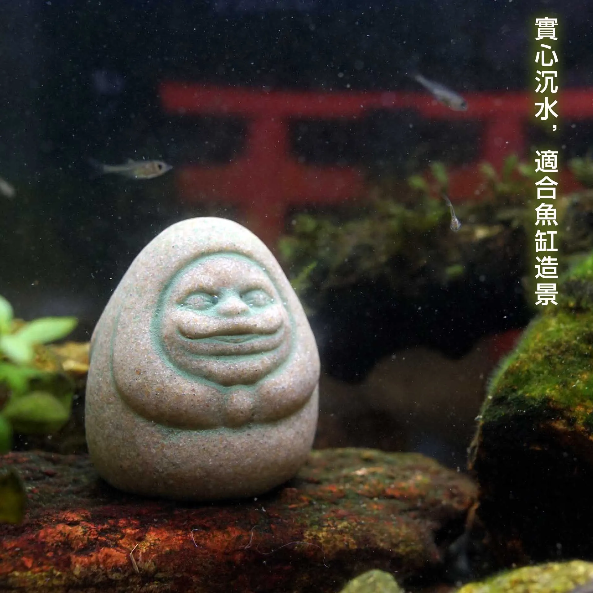 Kaminishi Hide Dharma Anime Sc - Aquarium Moss 评论和价格