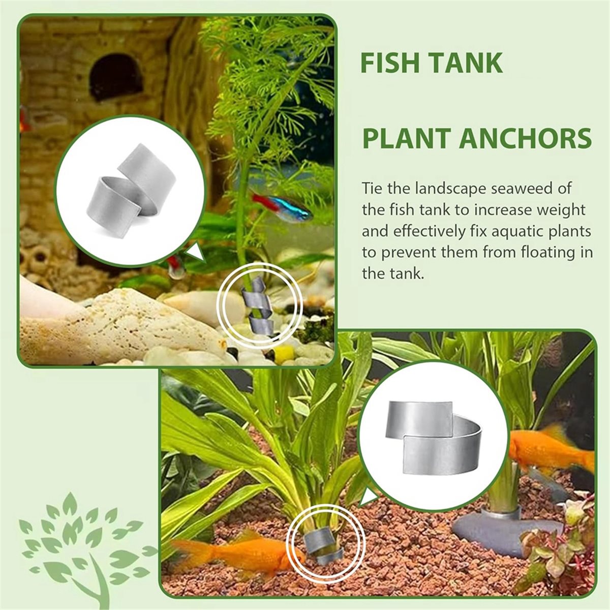Time Saving Aquarium Plant Wei - Live Plant Aquarium 评论和价格