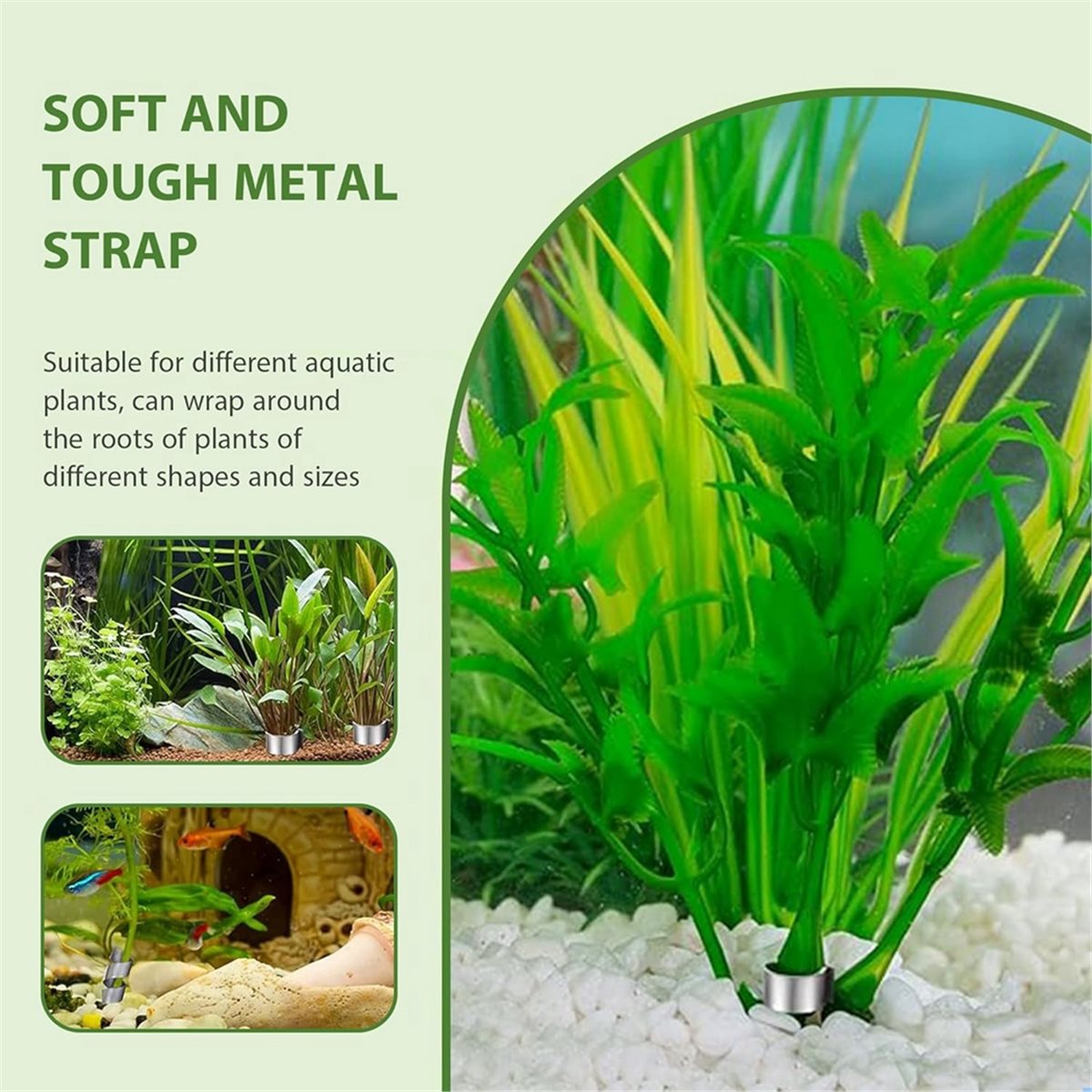 Time Saving Aquarium Plant Wei - Live Plant Aquarium 评论和价格