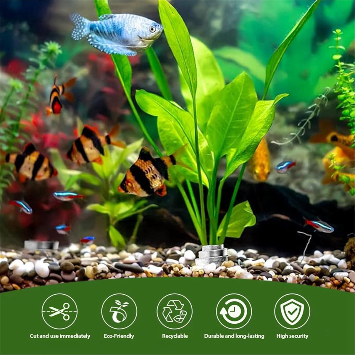 Time Saving Aquarium Plant Wei - Live Plant Aquarium 评论和价格