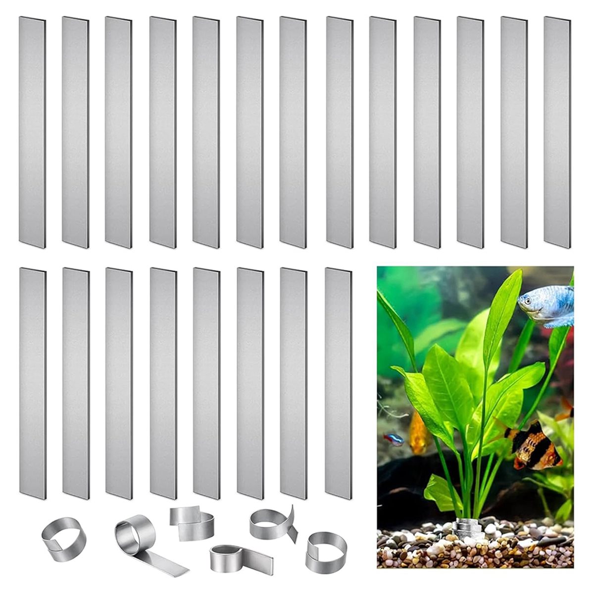 Time Saving Aquarium Plant Wei - Live Plant Aquarium 评论和价格