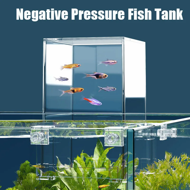 Creative Aquarium Tanks Negati - Plant Aquarium Pot 评论和价格