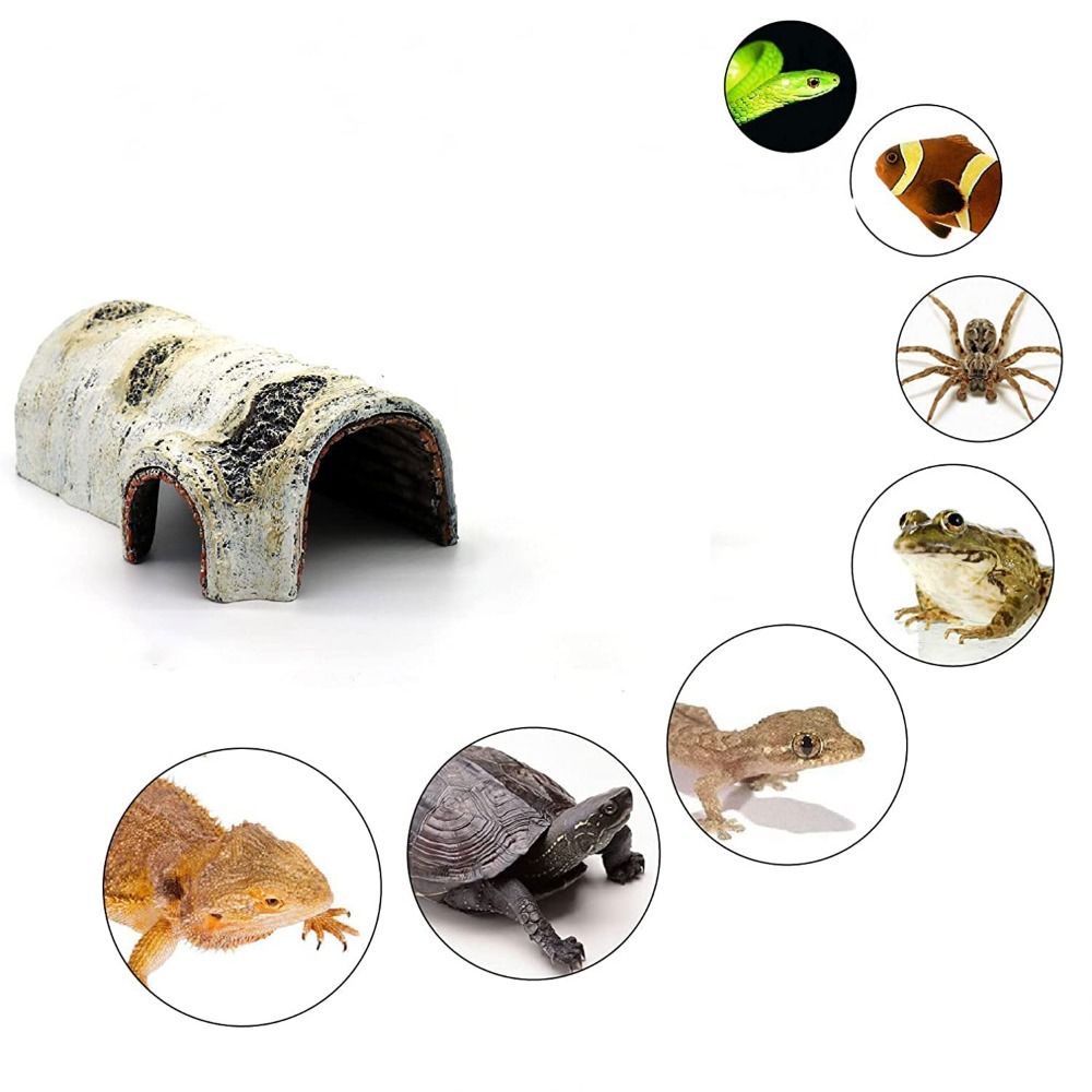 Artificial Creative Lifelike f - Aquarium Plant Holder 评论和价格