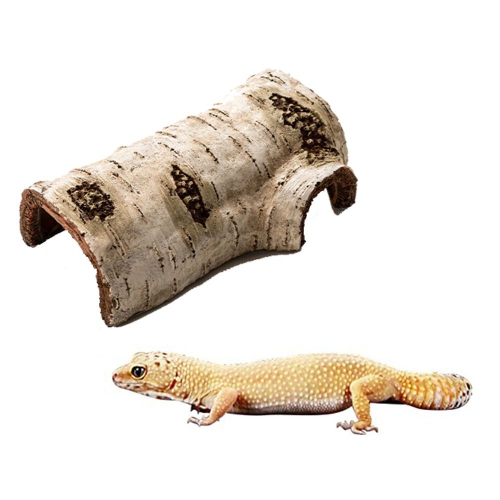 Artificial Creative Lifelike f - Aquarium Plant Holder 评论和价格