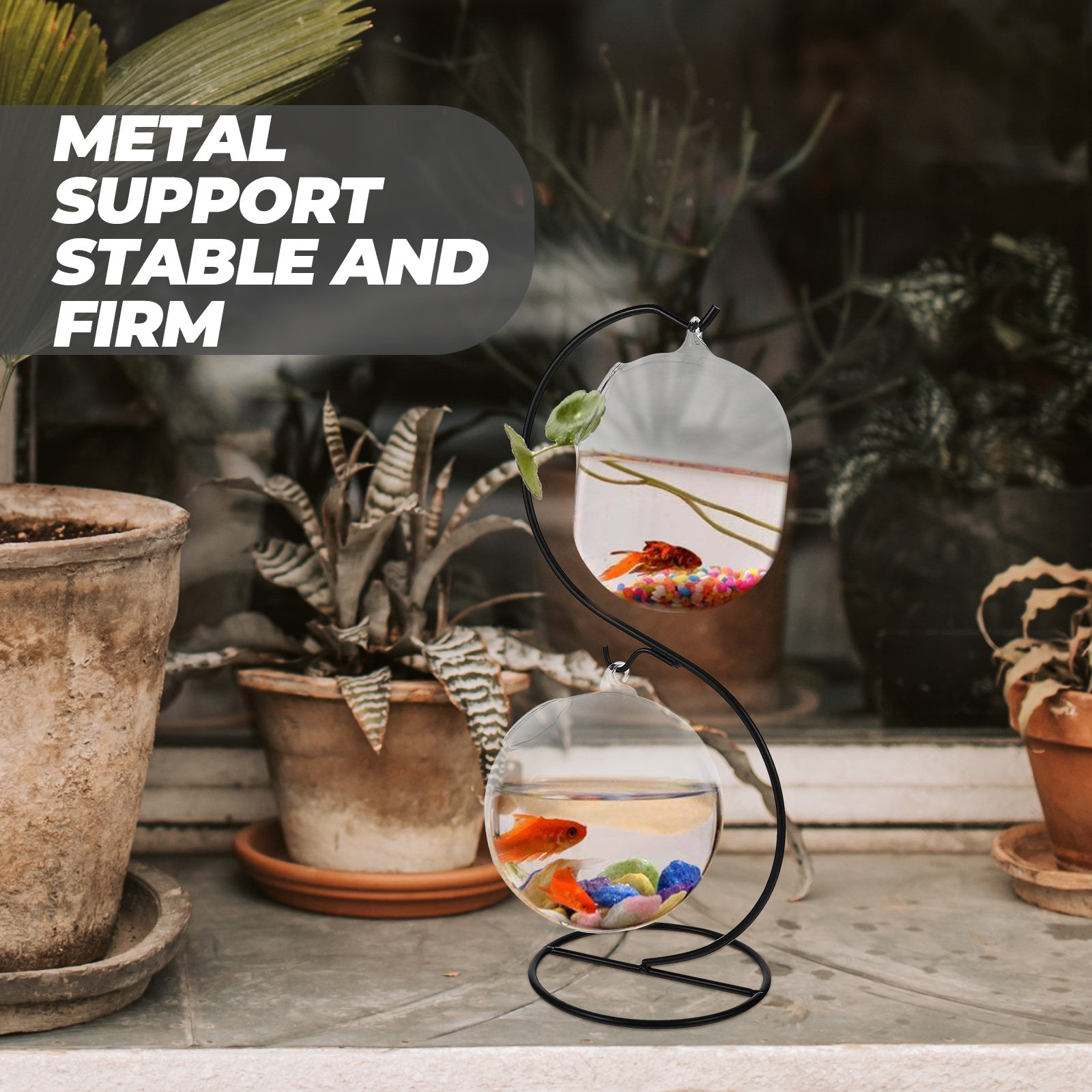 1Set Desktop Fish Tank Multi-F - Planted Tank 评论和价格