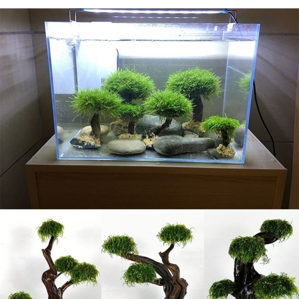 Fish tank greening wood frame  - Aquarium Driftwood 评论和价格