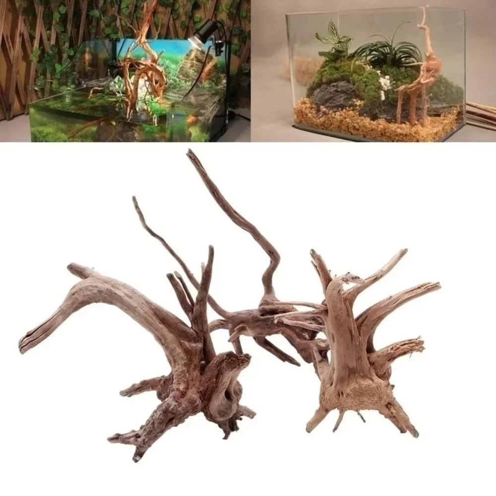 Natural Driftwood Aquarium Dec - Aquarium Moss 评论和价格
