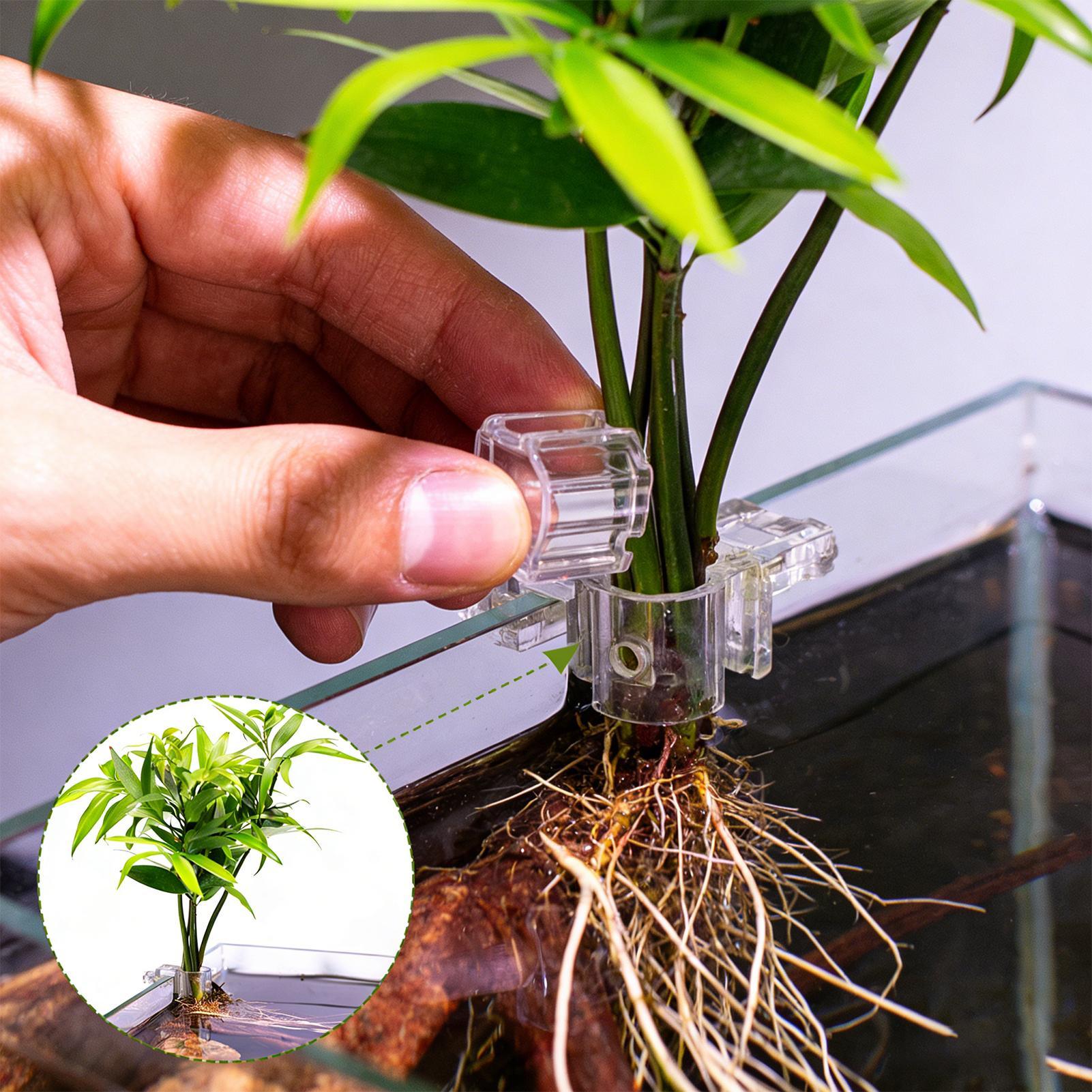 Mini Fish Tank Planter Pot 6Pc - Aquarium Fertilizer 评论和价格