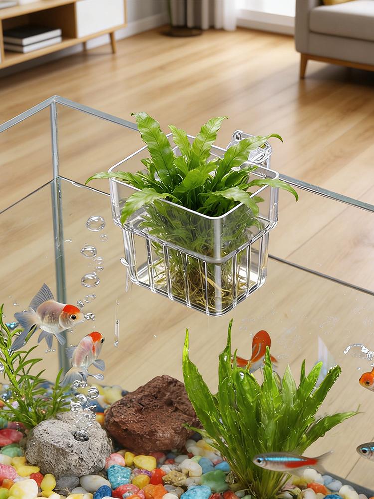 Aquarium Plant Holder Transpar - Aquarium Plant Holder 评论和价格