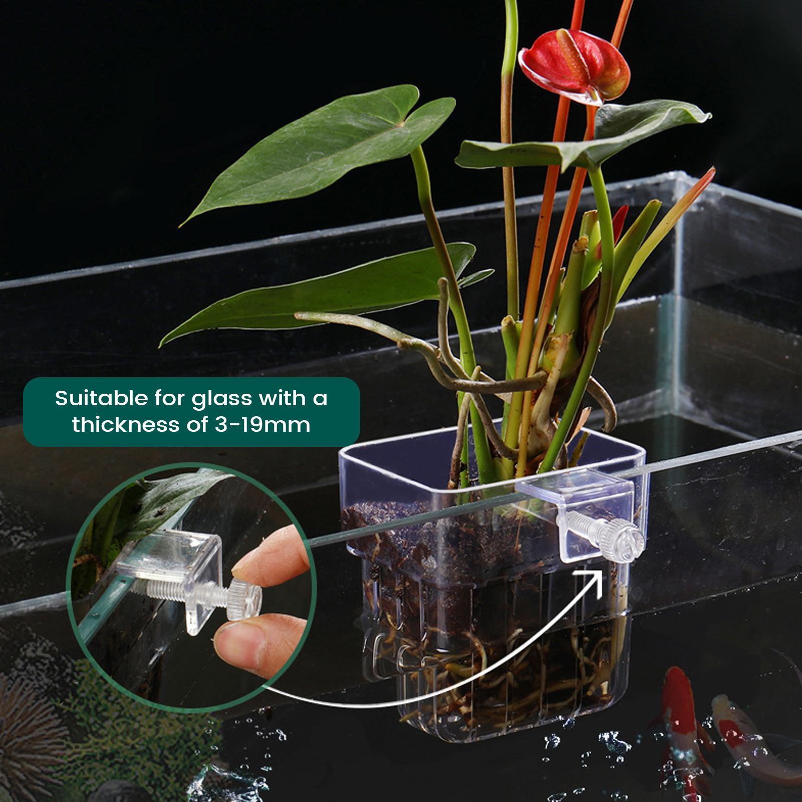 Aquarium Plant Holder Transpar - Aquarium Plant Holder 评论和价格