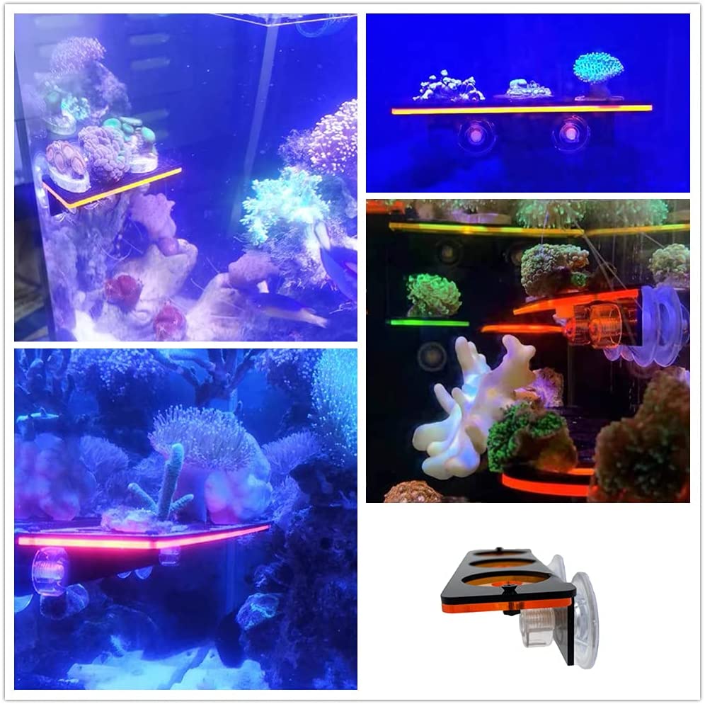 Fluorescent Coral Frag Plug Br - Aquarium Plant Holder 评论和价格