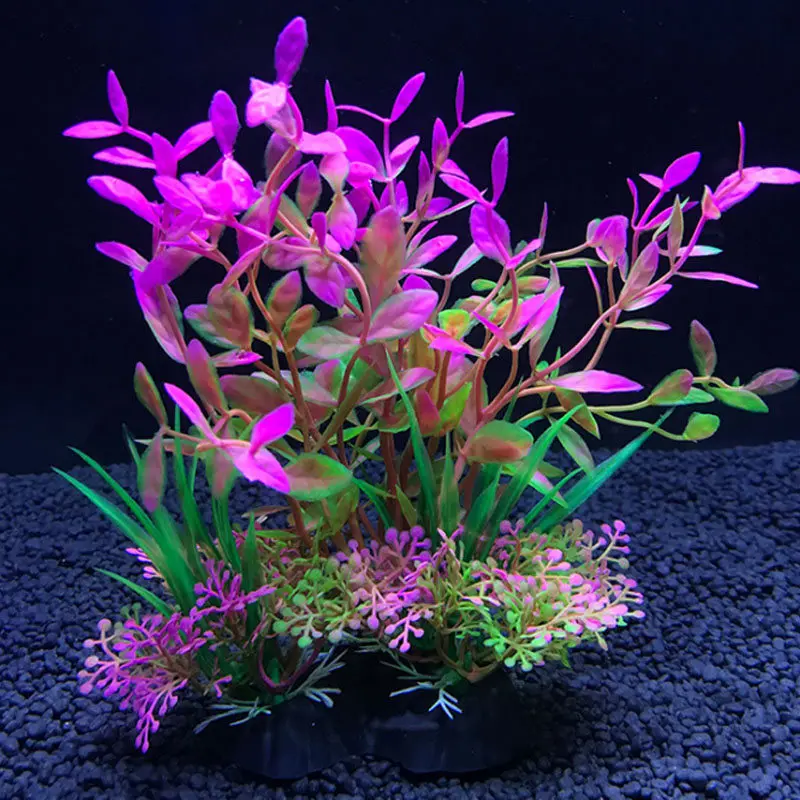 Aquarium Artificial Decor Plan - Live Plant Aquarium 评论和价格