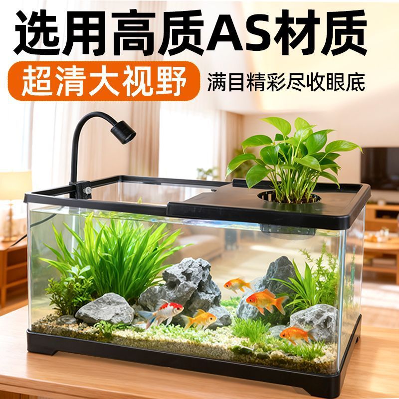 Fish tank living room with aqu - Aquarium Plants Live 评论和价格