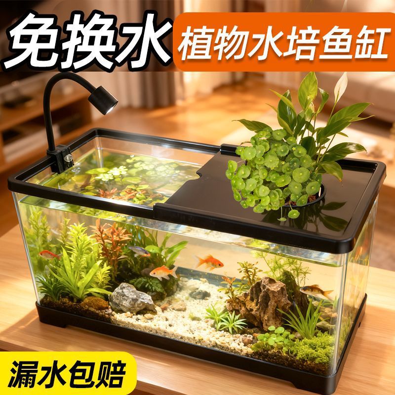 Fish tank living room with aqu - Aquarium Plants Live 评论和价格