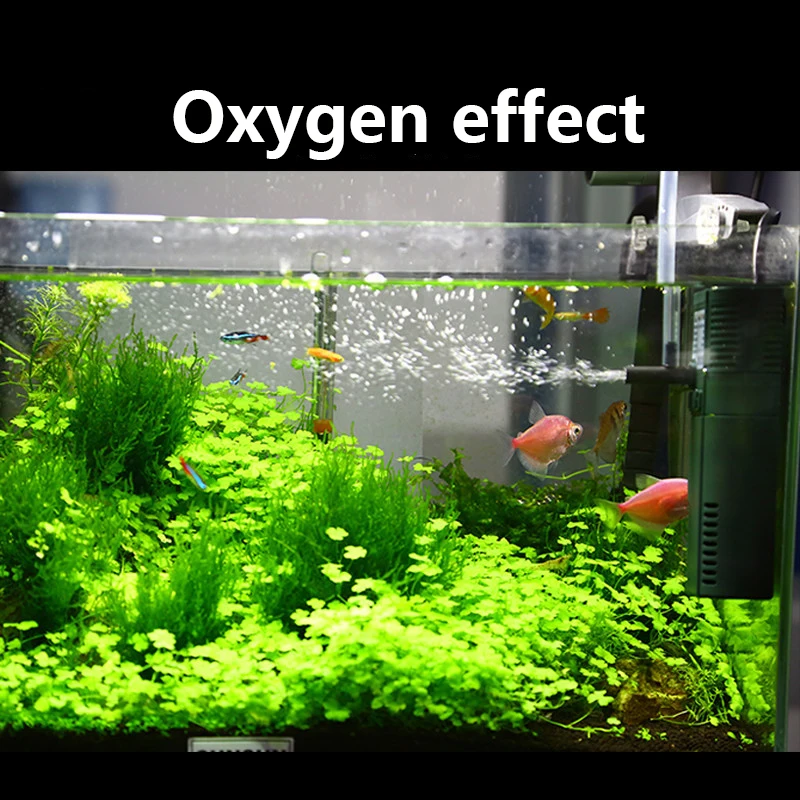 SUNSUN Mini Nano 111B 311B 611 - Aquarium Planted Tank Filter 评论和价格