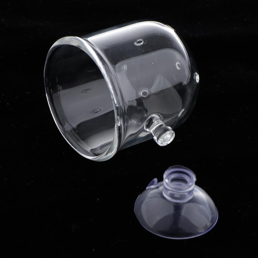 Fish Feeding Basket Glass Aqua - Plant Aquarium Pot 评论和价格