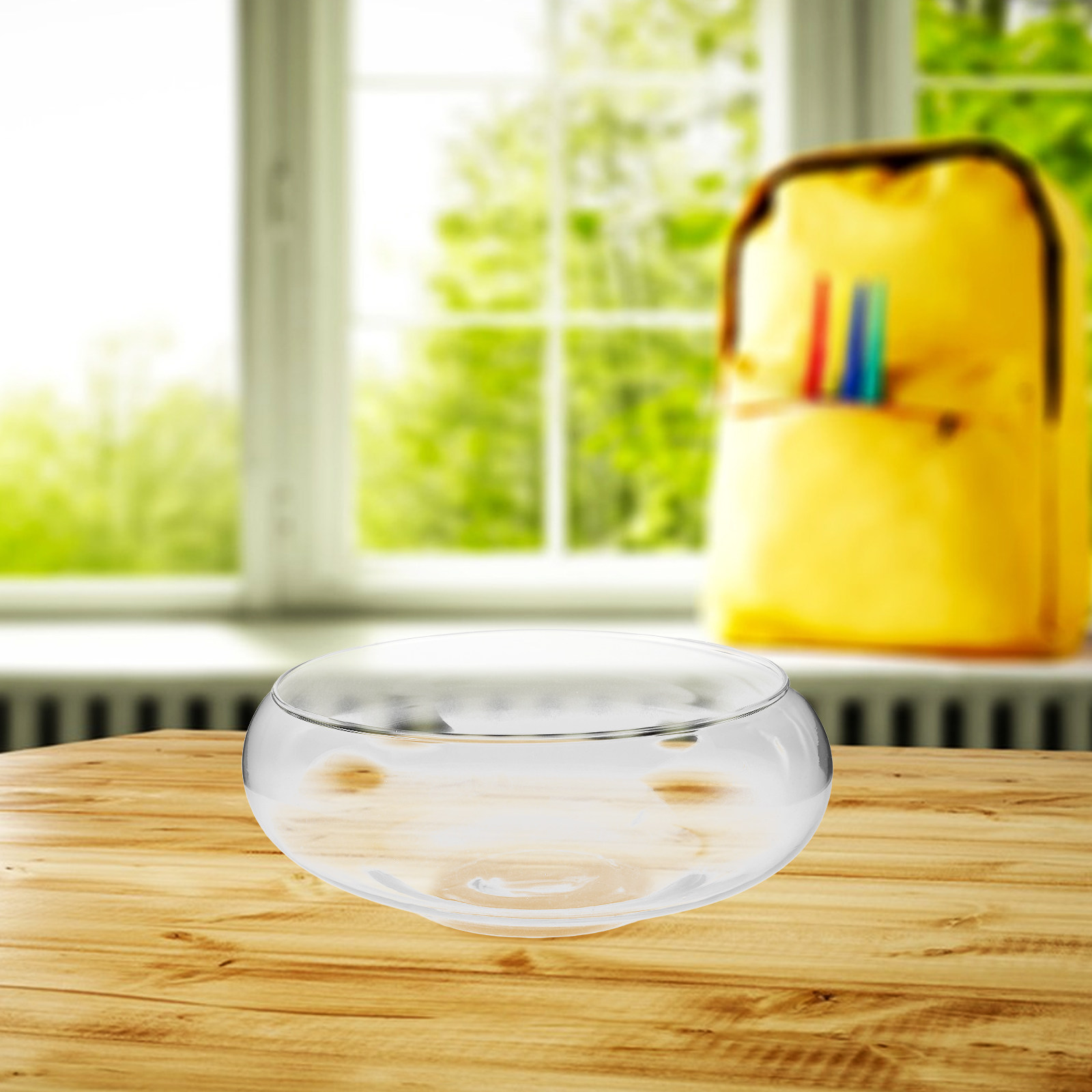 Glass Hydroponic Planter Bowl  - Planted Tank 评论和价格