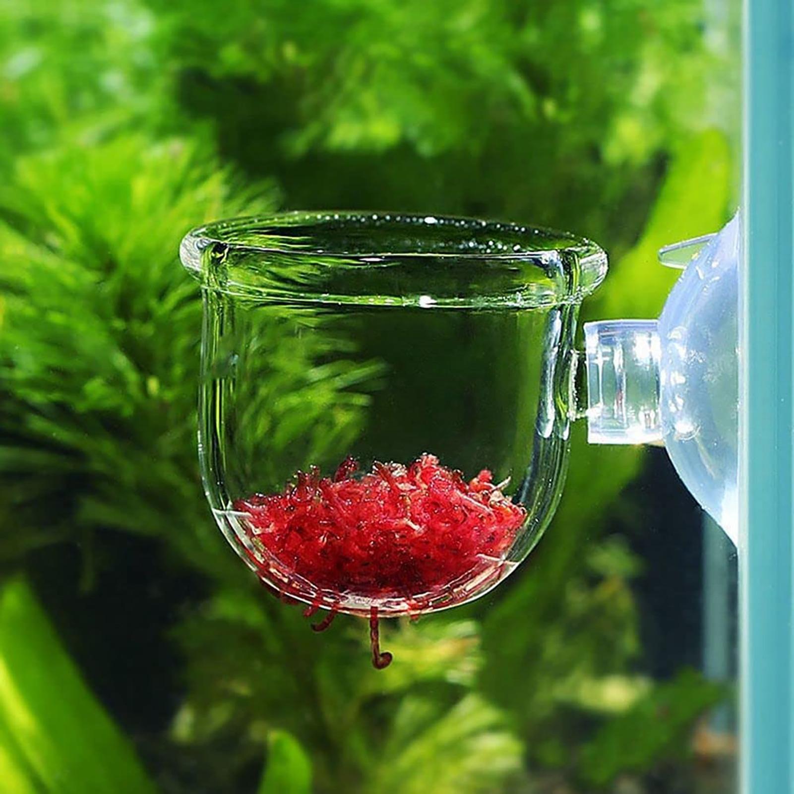 Acrylic Aquatic Plant Cup Aqua - Aquarium Plant Holder 评论和价格