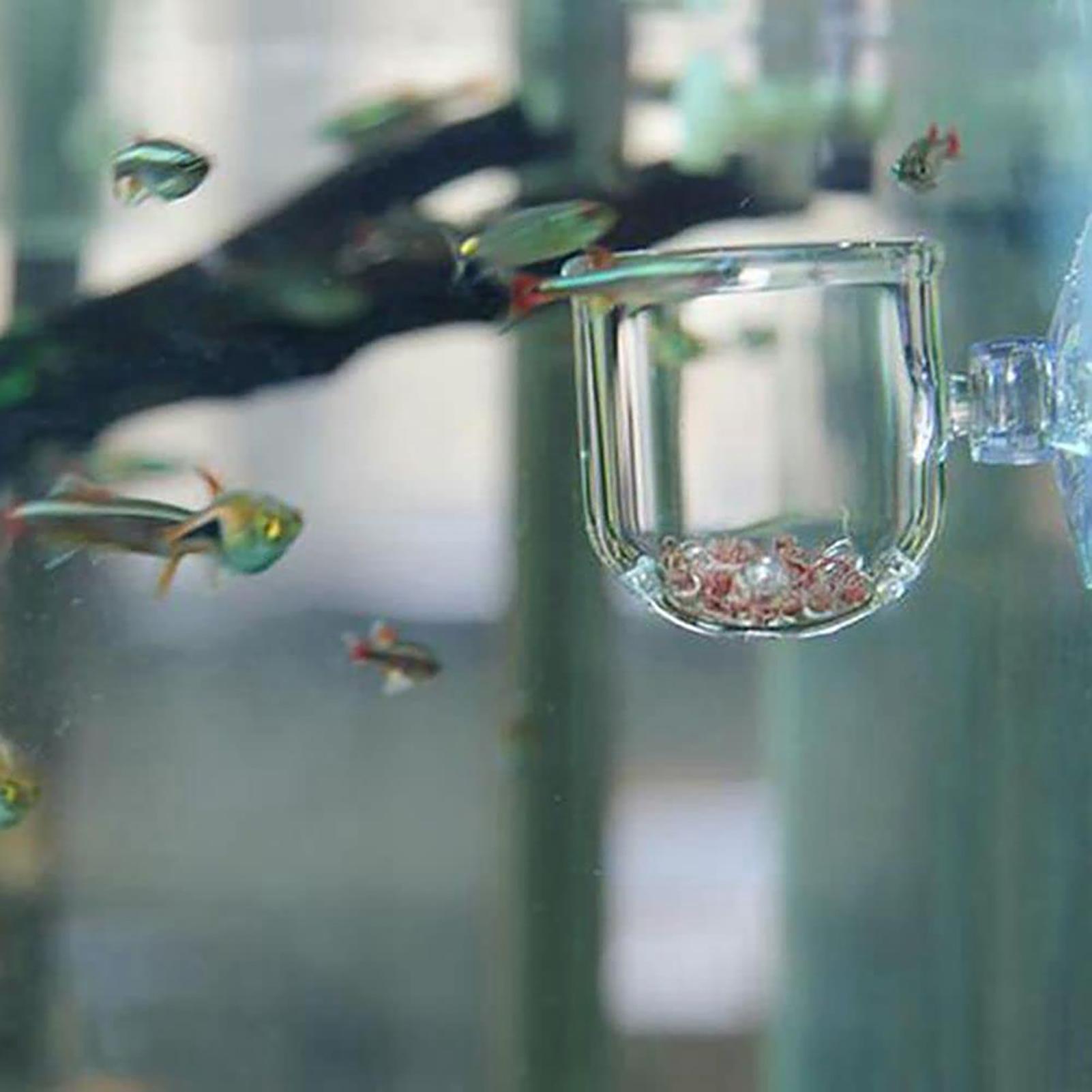 Acrylic Aquatic Plant Cup Aqua - Aquarium Plant Holder 评论和价格