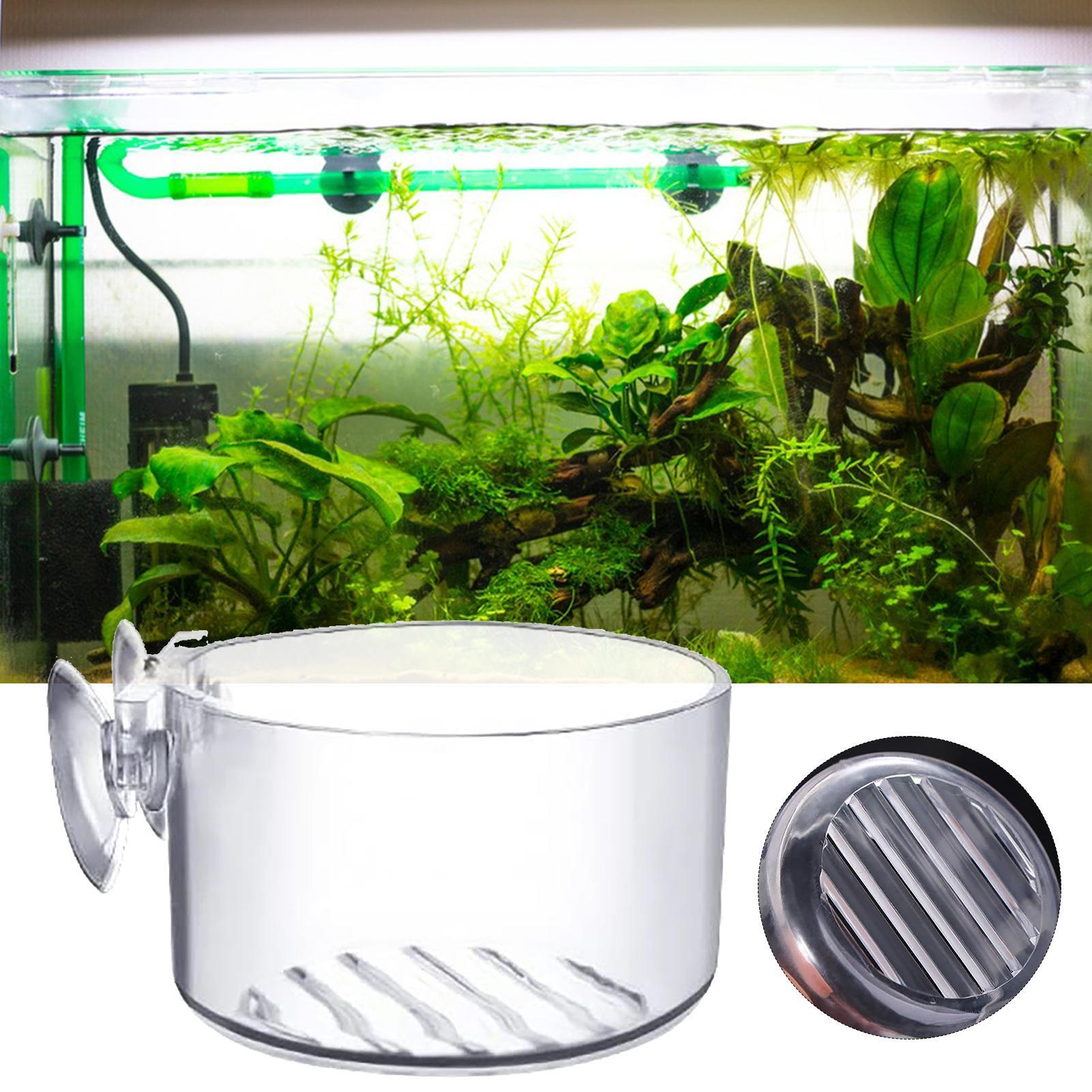 Acrylic Aquatic Plant Cup Aqua - Aquarium Plant Holder 评论和价格
